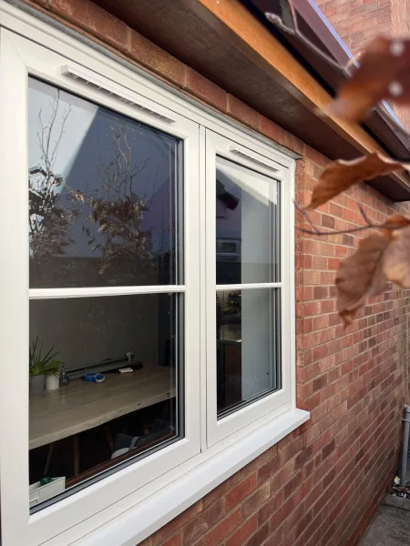 WINDOWS